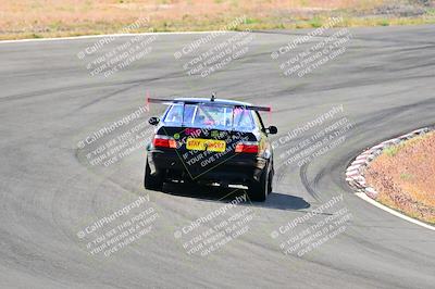 media/May-05-2024-Lucky Dog Racing (Sun) [[8a365fce5b]]/945am-Turn 5/